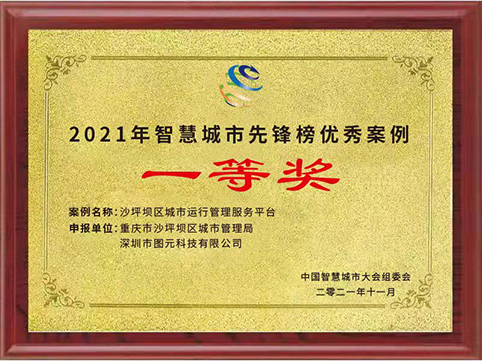 49.5×35 智慧城市沙坪壩優秀案例一等獎.png